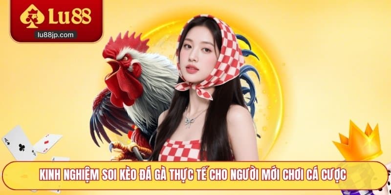 Kinh nghiệm soi kèo đá gà thực tế cho người mới chơi cá cược