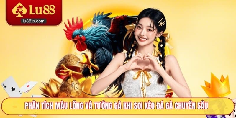 Phân tích màu lông và tướng gà khi soi kèo đá gà chuyên sâu