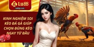 Kinh Nghiệm Soi Kèo Đá Gà Giúp Chọn Đúng Kèo Ngay Từ Đầu