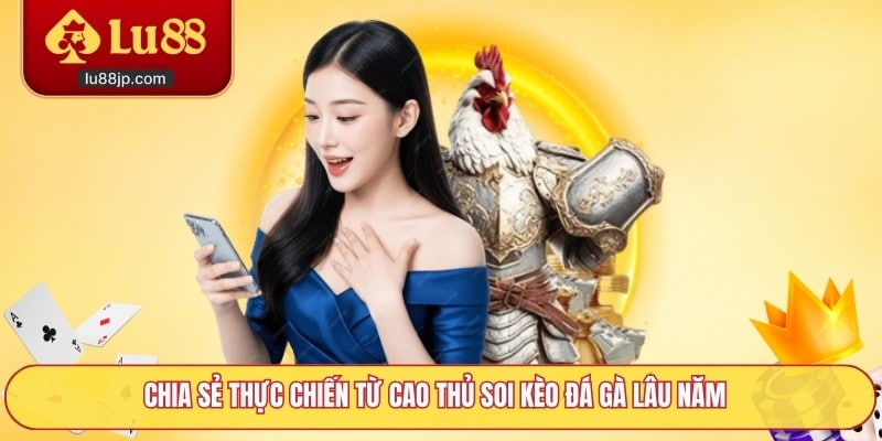 Chia sẻ thực chiến từ cao thủ soi kèo đá gà lâu năm